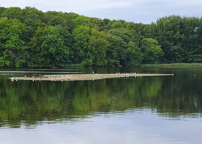 Сasa de vacaciones 7 Person In Svendborg-by Traum *