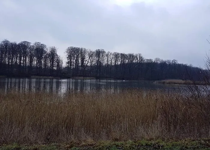 7 Person In Svendborg-by Traum Сasa de vacaciones Svendborg