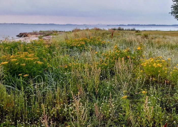 7 Person In Svendborg-by Traum *